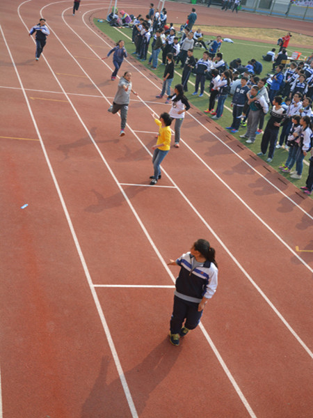 ydh12.JPG